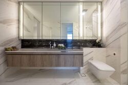 Wallich Residence  (D2), Condominium #586154281